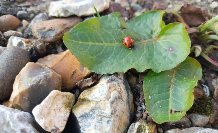 Image of Photo competition - week 4