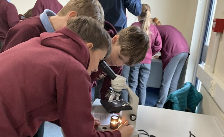 Image of Primary Pupils Embrace Science at Priory With Classification Workshop