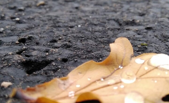 Image of Humanities photo challenge - Week 8 (weather)