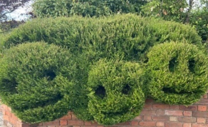 Image of Humanities photo challenge - Week 7 (green)