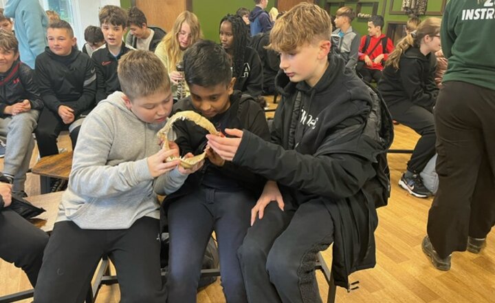 Image of Year 8 take a trip to the zoo