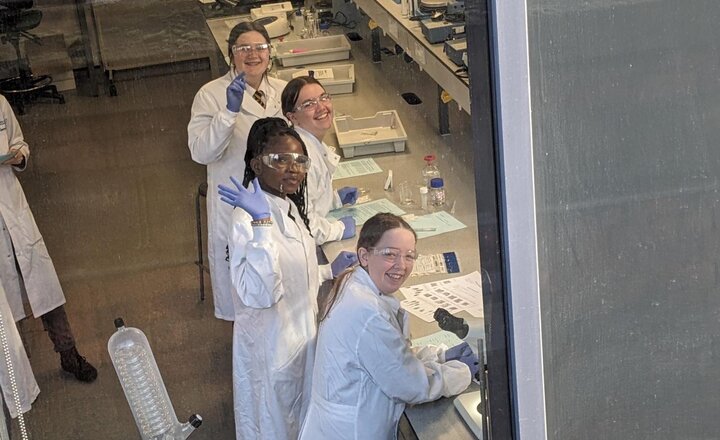 Image of Science pupils investigated at UCLan chemistry event