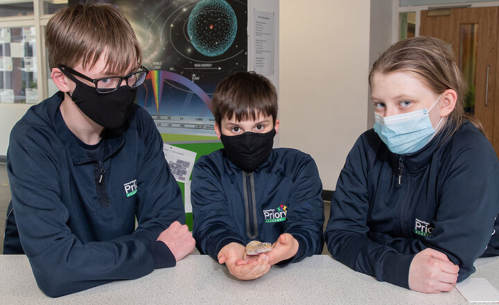 Image of Meet Gary the gecko