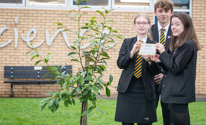 Image of Tree planted in memory of former teacher