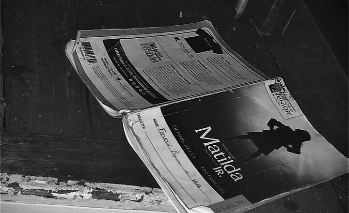 Image of Matilda - And that's a wrap!