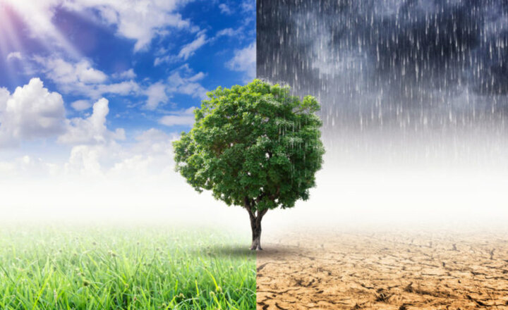 Image of Science fact of the week #4