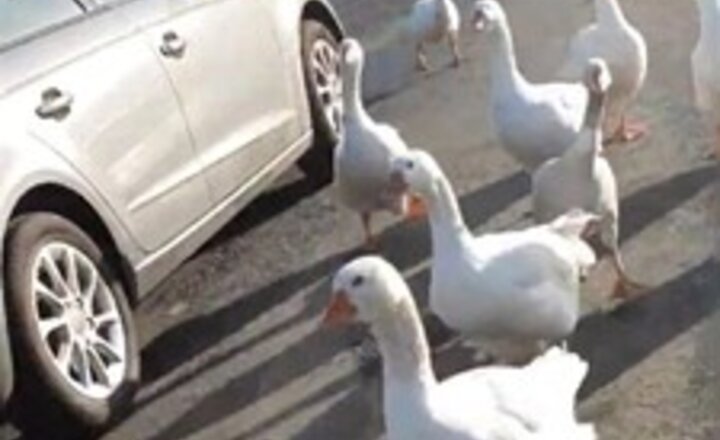 Image of Mental health awareness week update