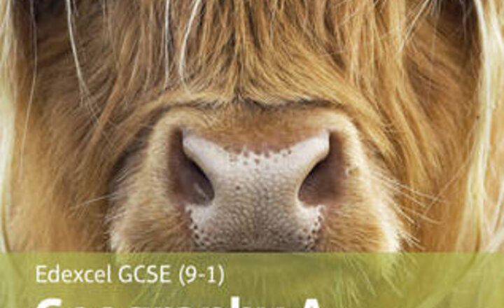 Image of Attention Year 11 Geography pupils