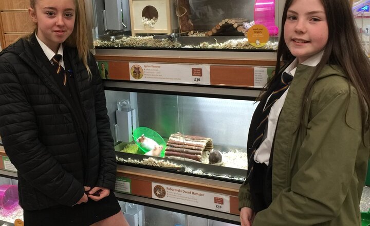 Image of Another new recruit for the Science department