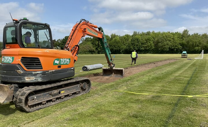 Image of Owzat for Priory's cricket wicket!