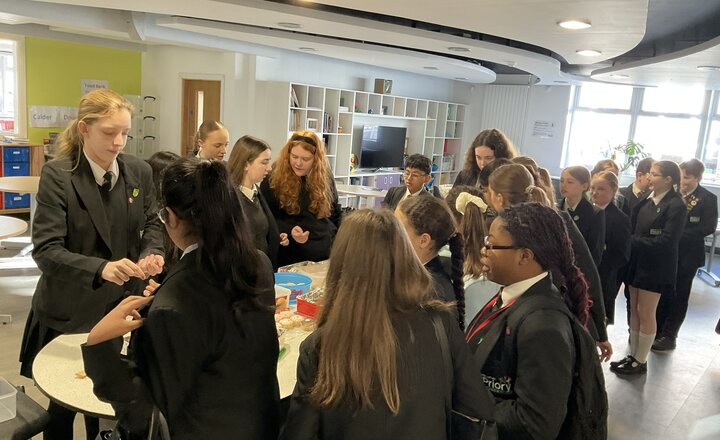 Image of Year 10 Girls Raise Funds to Protect Endangered Tigers