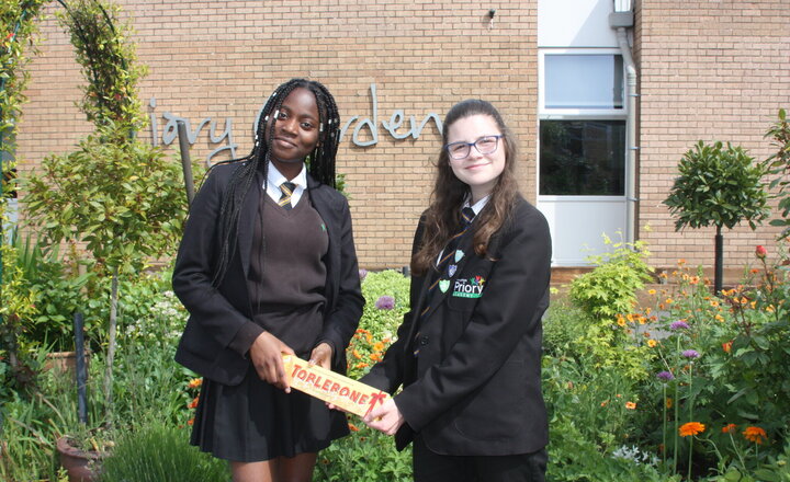 Image of Scarlett promotes deaf awareness with charity fundraiser success