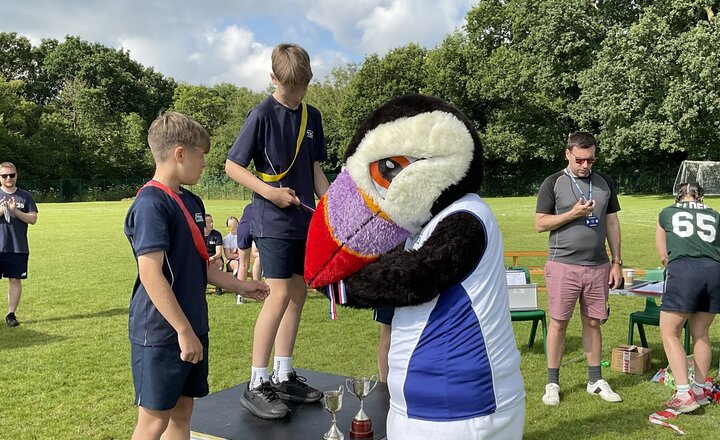 Image of Getting to know you: Pedro The Puffin