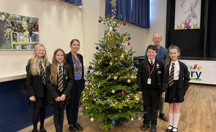 Image of Oh Christmas Tree...