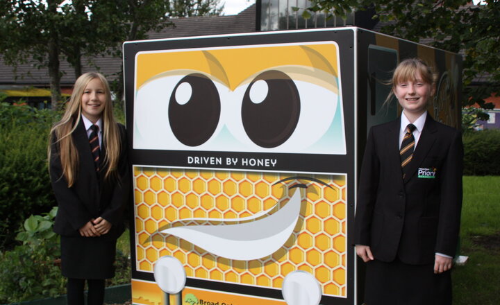 Image of Busy bees return to their hive