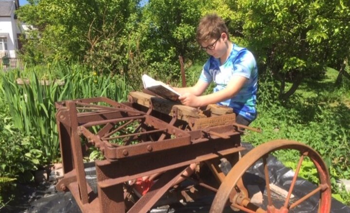 Image of Are you a random reader?