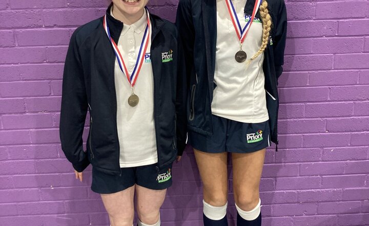 Image of Gold and silver for Priory's gymnasts