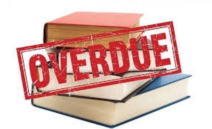 Image of Library book amnesty