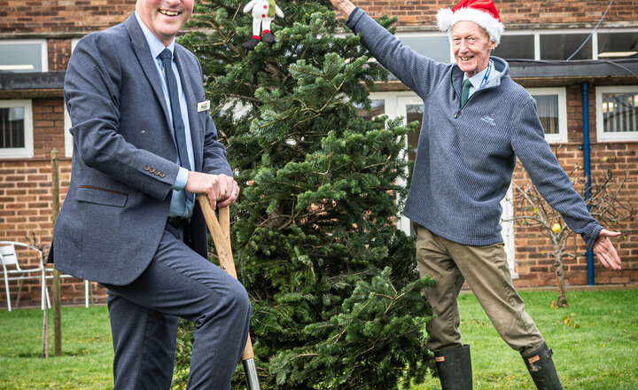 Image of Priory Welcomes Real Christmas Tree for Seasonal Celebrations