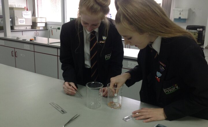 Image of Priory pupils take second place at Runshaw College science competition