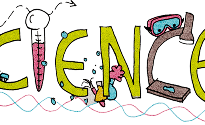 Image of What have you been up to in Science?