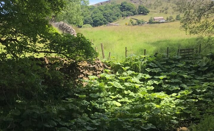 Image of A fantastic day out!