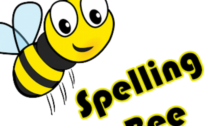 Image of MFL make a buzz about languages