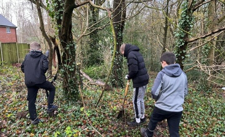 Image of Greencroft Valley tree planting project