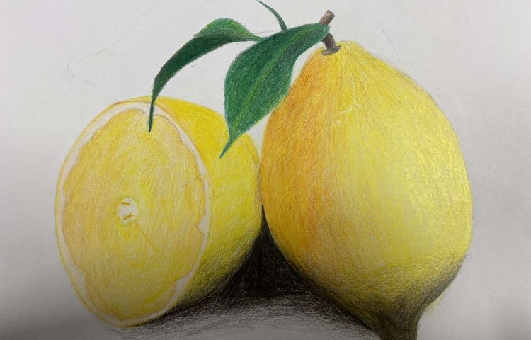 Image of Year 9 art colouration with pencil crayon
