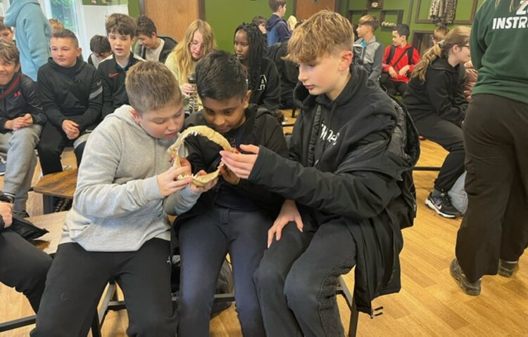 Image of Year 8 take a trip to the zoo