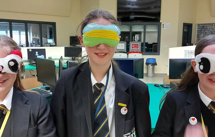 Image of Year 8 Technology - Eye Masks