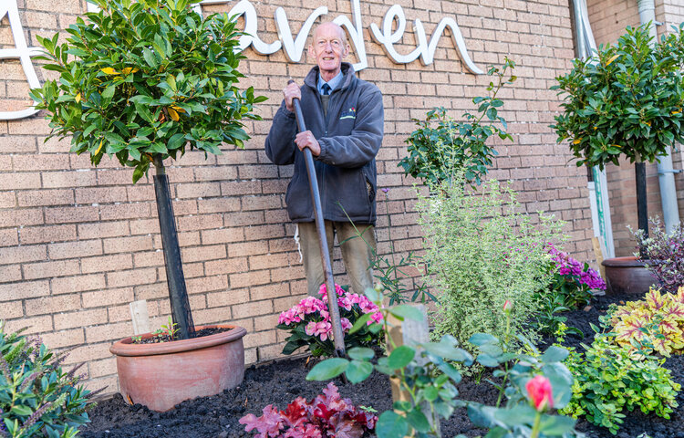 Image of Mr Farron's Compost Corner - Autumn Update