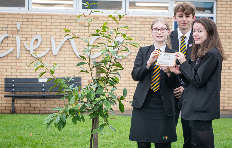 Image of Tree planted in memory of former teacher
