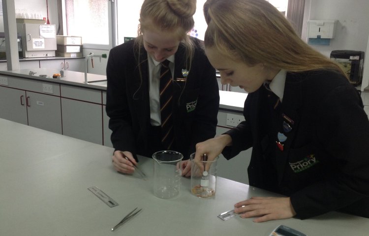 Image of Priory pupils take second place at Runshaw College science competition