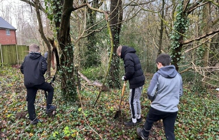 Image of Greencroft Valley tree planting project