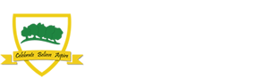 Pimperne Primary School