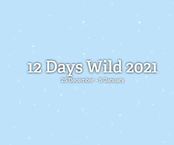 Image of Wildlife Trust - 12 Days Wild 2021