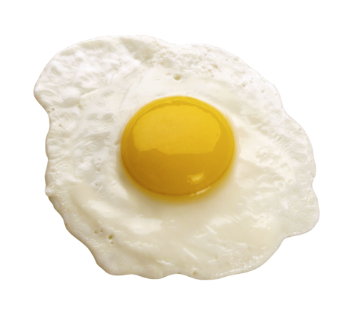 Image of An "Egg"citing Week