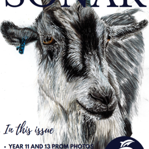 Image of New Edition of Sonar Magazine Out Now!