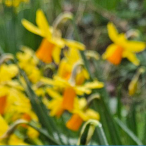 Image of Spring 2 Newsletter now published