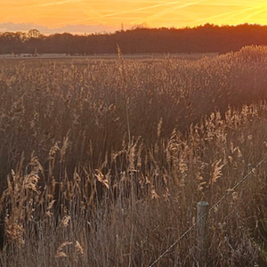 Image of Autumn 2 Newsletter now published