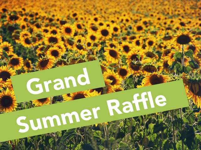 Image of FOPHS Grand Summer Raffle