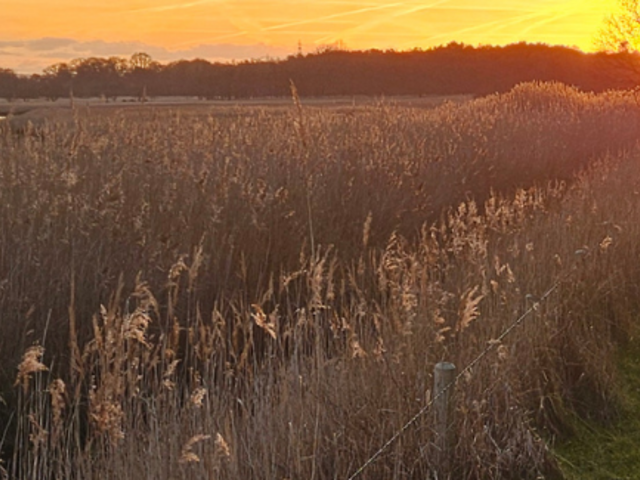 Image of Autumn 2 Newsletter now published