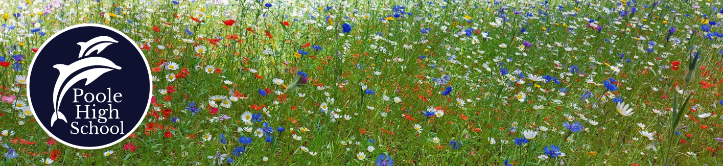 Image of Summer 2 Newsletter now published