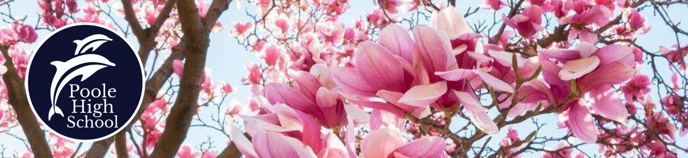 Image of Spring 1 Newsletter now published