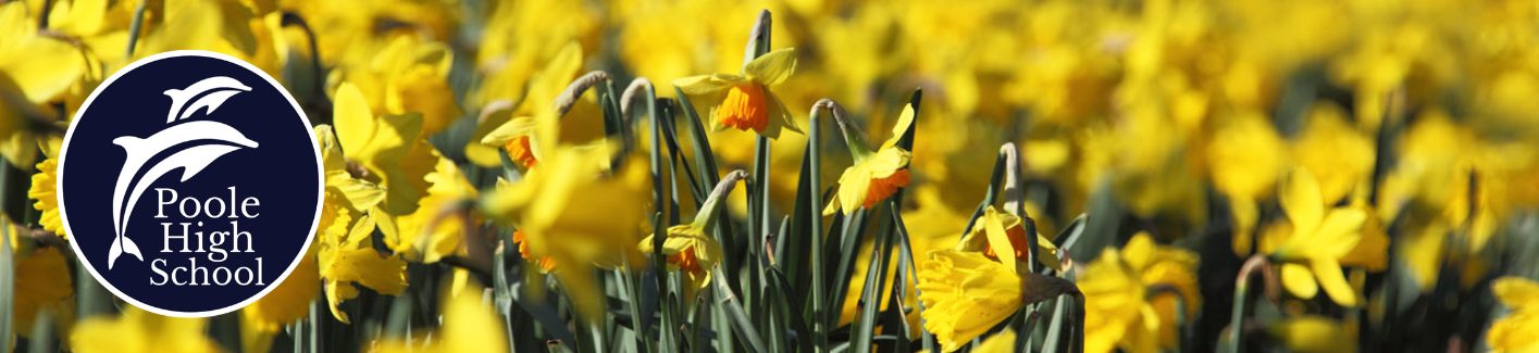 Image of Spring 2 Newsletter now published