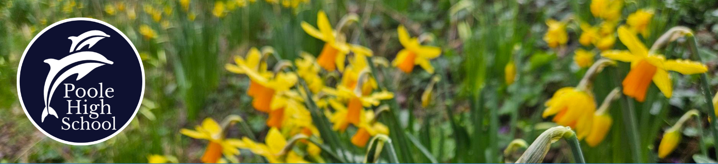 Image of Spring 2 Newsletter now published