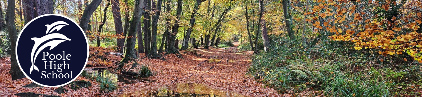 Image of Autumn 1 Newsletter now published