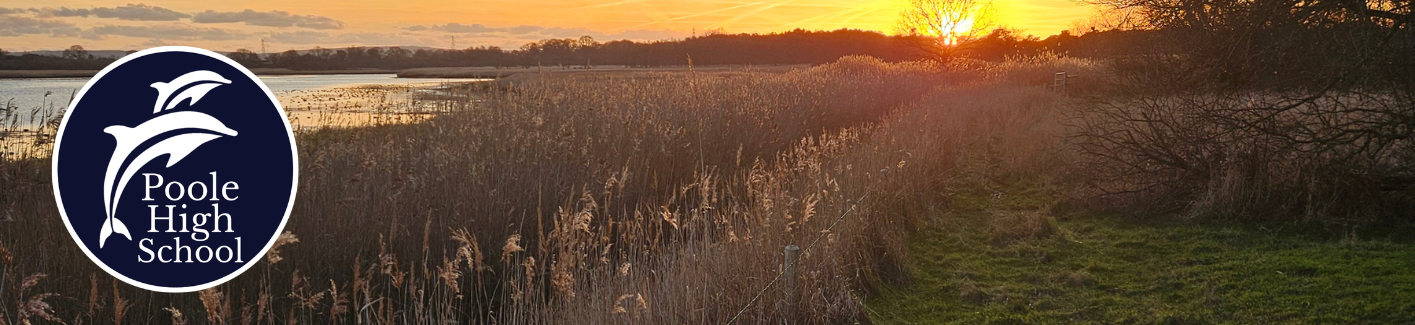 Image of Autumn 2 Newsletter now published