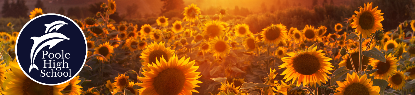 Image of Summer 1 Newsletter now published